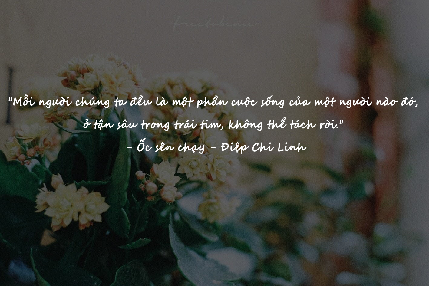 Những câu nói ngôn tình lãng mạn khiến trái tim bạn xao xuyến tột độ