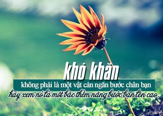 Tổng hợp những Stt hay về cuộc đời ý nghĩa làm thay đổi cuộc đời bạn 8 Tổng hợp những Stt hay về cuộc đời ý nghĩa làm thay đổi cuộc đời bạn