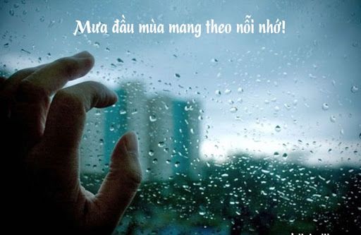 Tổng hợp những stt về mưa hợp tâm trạng hay nhất nhận bão like 6 Tổng hợp những stt về mưa hợp tâm trạng hay nhất nhận bão like