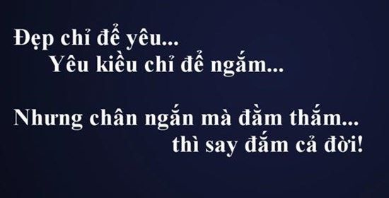 [NEW] Tổng hợp Stt hài hước mới nhất thu hút cộng đồng mạng