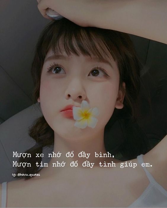 1000+ Stt yêu đời thả thính hay nhất 2020 khiến nàng đổ gục 4 1000+ Stt yêu đời thả thính hay nhất 2020 khiến nàng đổ gục