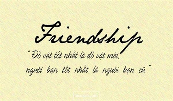 1000+ những câu nói hay về tình bạn ý nghĩa chạm đến trái tim 42 1000+ những câu nói hay về tình bạn ý nghĩa chạm đến trái tim