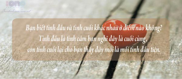 Những câu nói hay về tình yêu, cuộc sống hút TRIỆU like 4 Những câu nói hay về tình yêu, cuộc sống hút TRIỆu like