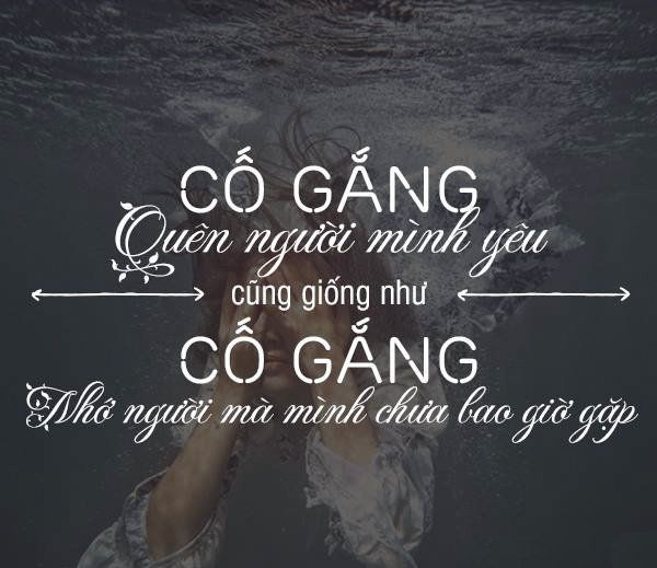 Những câu Stt tình yêu hay ý nghĩa về tình yêu rung động trái tim bạn 42 Những câu Stt tình yêu hay ý nghĩa về tình yêu rung động trái tim bạn
