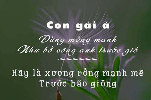 Những Stt hay về cuộc đời ý nghĩa giúp bạn sống hạnh phúc hơn 7 Những Stt hay về cuộc đời ý nghĩa giúp bạn sống hạnh phúc hơn