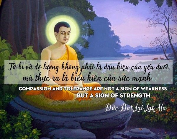 Những câu nói hay của phật ý nghĩa nhất làm thay đổi cuộc đời bạn 15 Những câu nói hay của phật ý nghĩa nhất làm thay đổi cuộc đời bạn