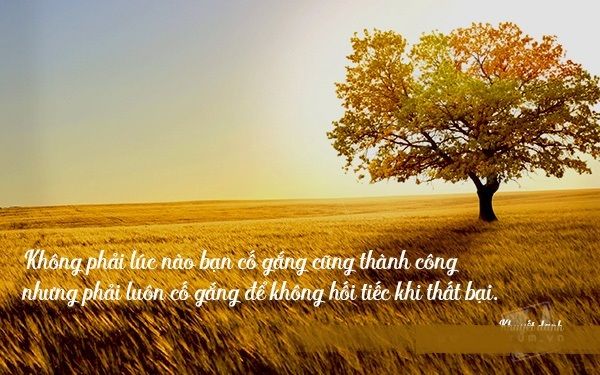 Những câu nói hay về sự cố gắng tiếp thêm nghị lực cho bạn 4 Những câu nói hay về sự cố gắng tiếp thêm nghị lực cho bạn