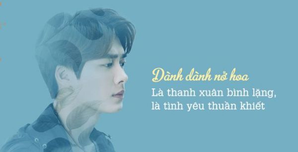 Những câu nói hay về thanh xuân tươi đẹp và rực rỡ nhất trong đời 5 Những câu nói hay về thanh xuân tươi đẹp và rực rỡ nhất trong đời