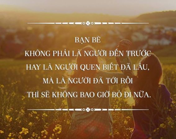 Những câu thơ hay về tình bạn chân thành và ý nghĩa nhất 1 Những câu thơ hay về tình bạn chân thành và ý nghĩa nhất