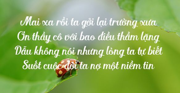 Tuyển tập những câu nói hay về tuổi học trò khắc cốt ghi tâm suốt một đời 7 Tuyển tập những câu nói hay về tuổi học trò khắc cốt ghi tâm suốt một đời