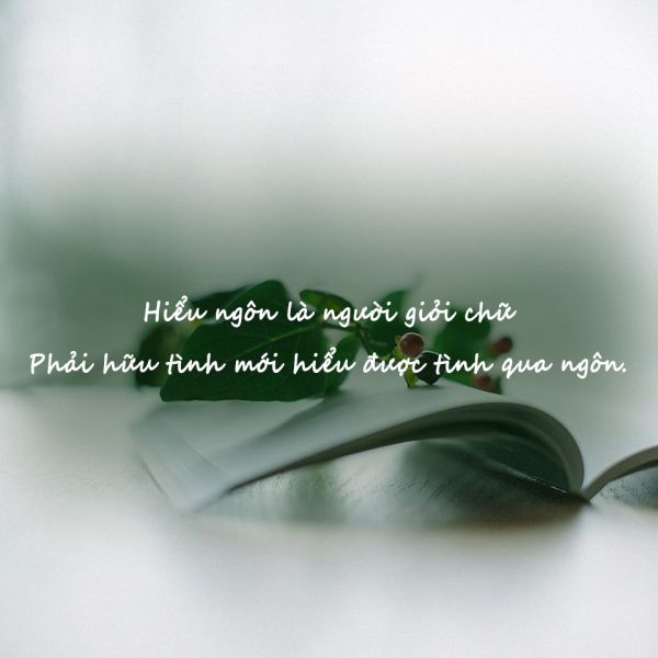 Tuyển tập những câu nói ngôn tình hay dành cho các bạn trẻ 3 Tuyển tập những câu nói ngôn tình hay dành cho các bạn trẻ