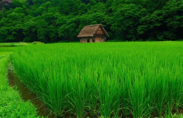 [Cập Nhật] 100+ hình nền máy tính đẹp nhất 2021, Full HD, 2K, 4K